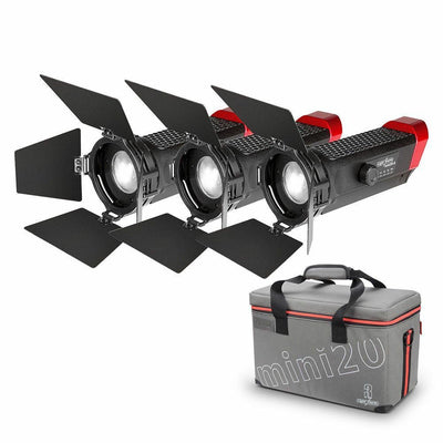 Aputure LS-mini20 Light Storm Flight Kit (DDC) without Light Stands