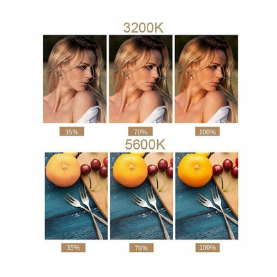 Litufoto Rigid Metal Case Bi-colour 3200-5600K LED Video Photography Light