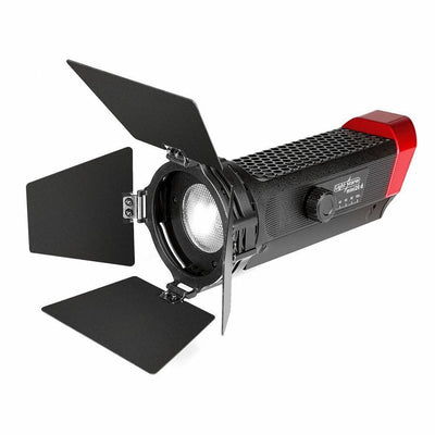 Aputure LS-mini20 Light Storm Flight Kit (DDC) without Light Stands